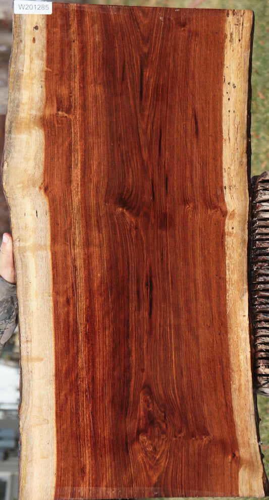 Spalted Chechen Live Edge Lumber