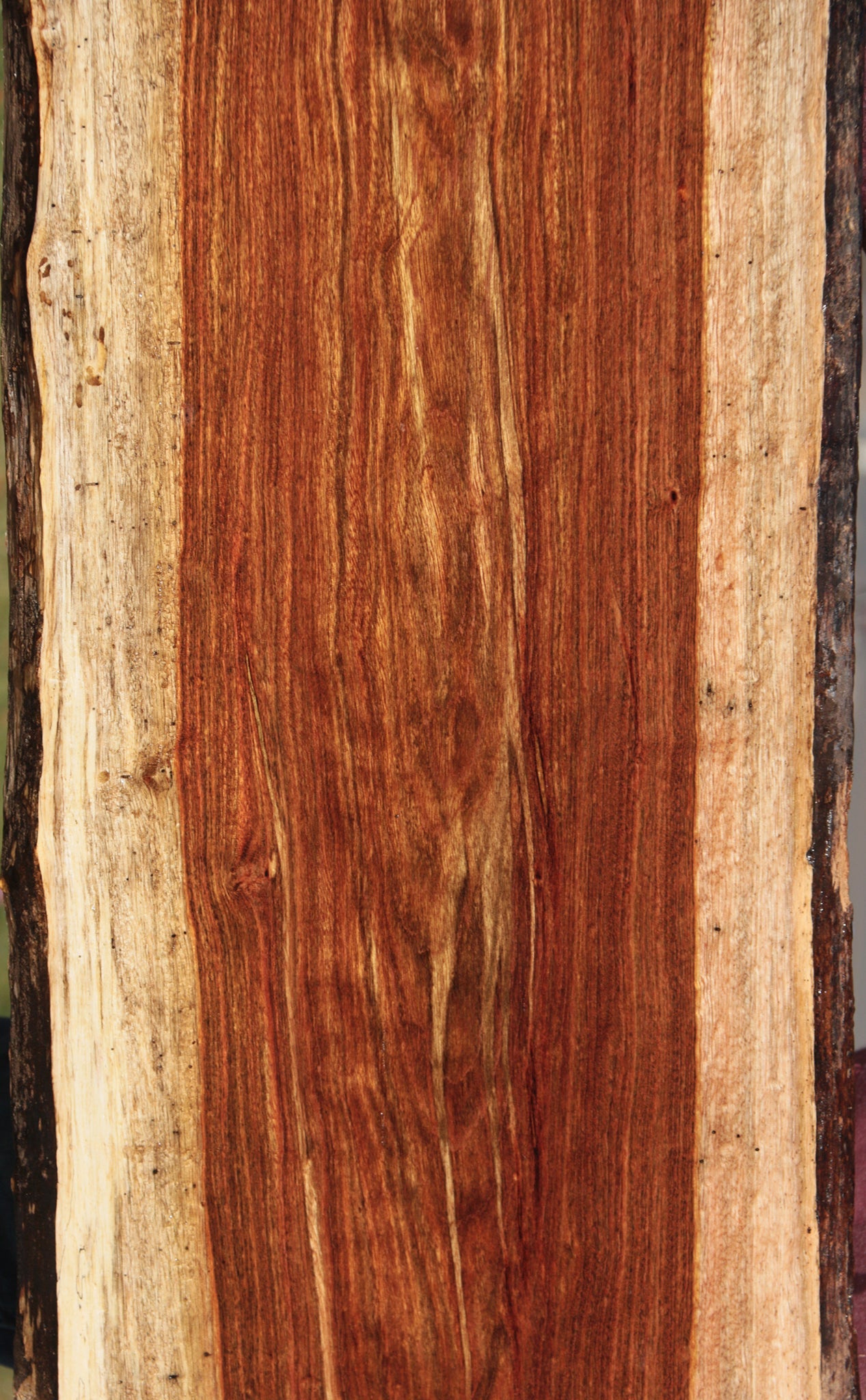 Chechen Live Edge Lumber