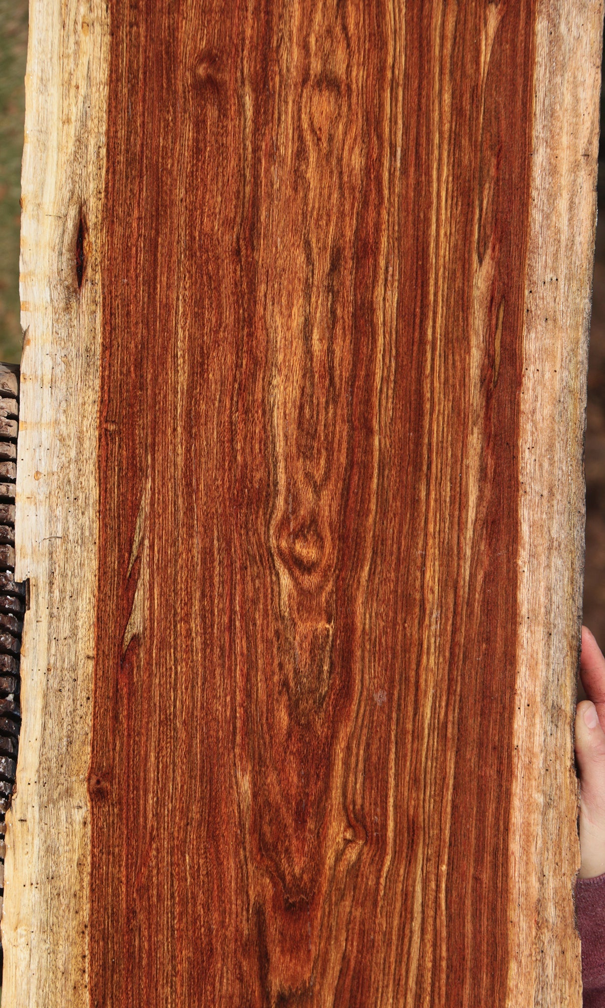 Chechen Live Edge Lumber