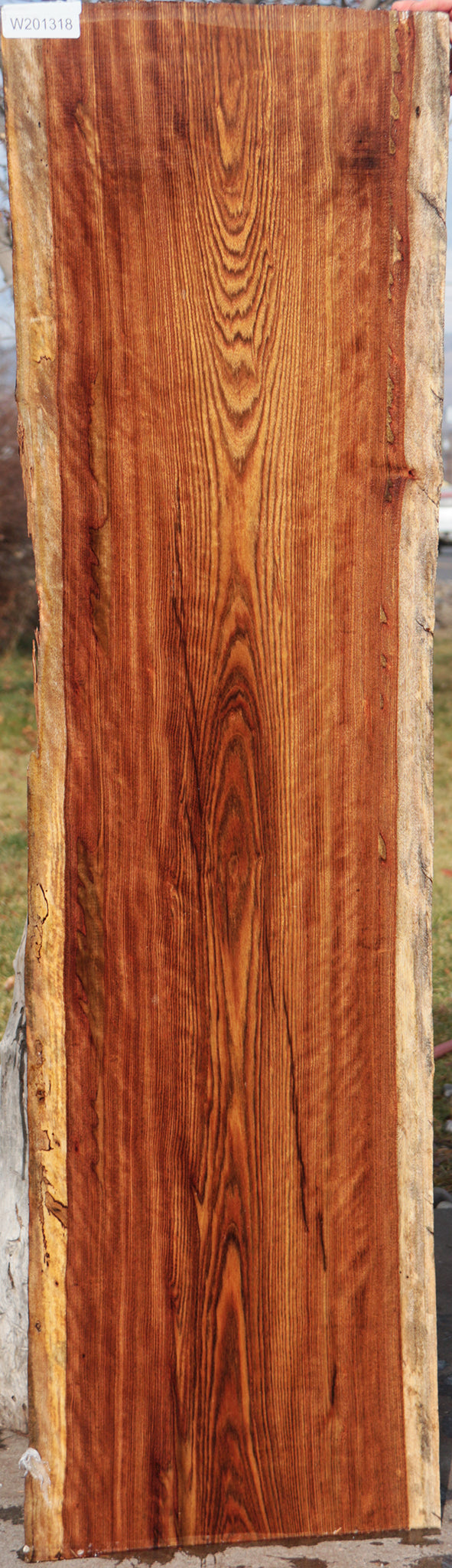 Spalted Chechen Live Edge Lumber