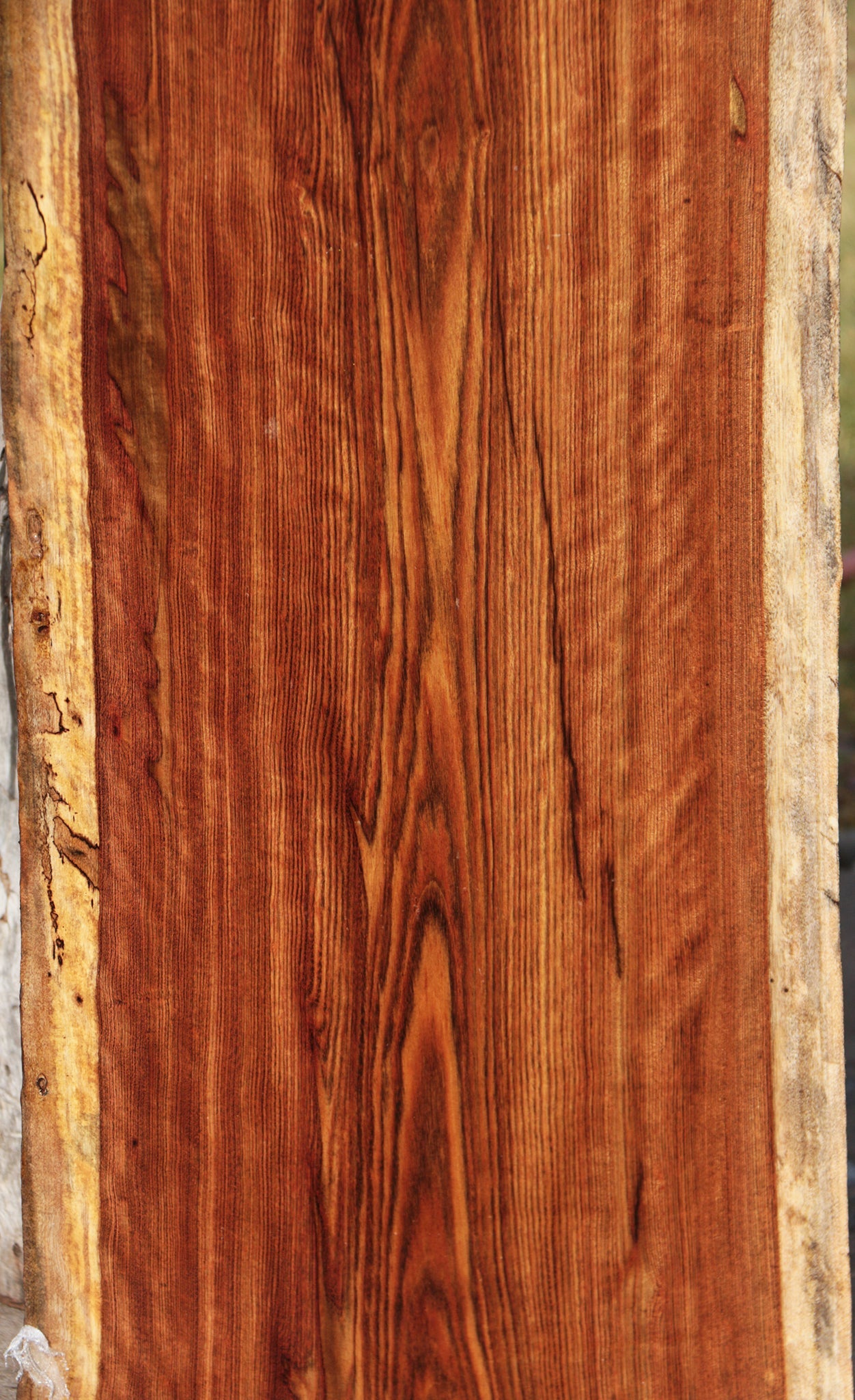 Spalted Chechen Live Edge Lumber