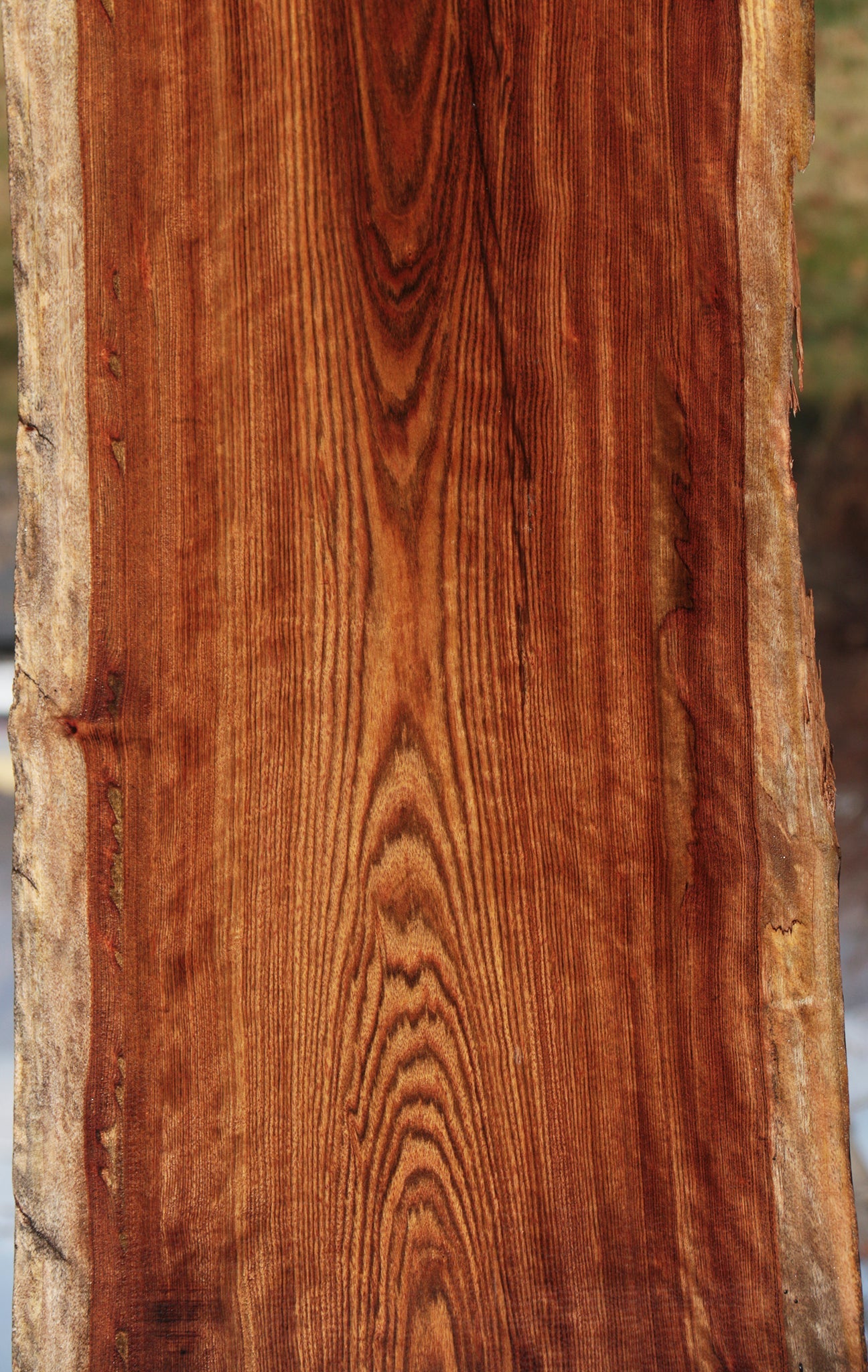 Spalted Chechen Live Edge Lumber