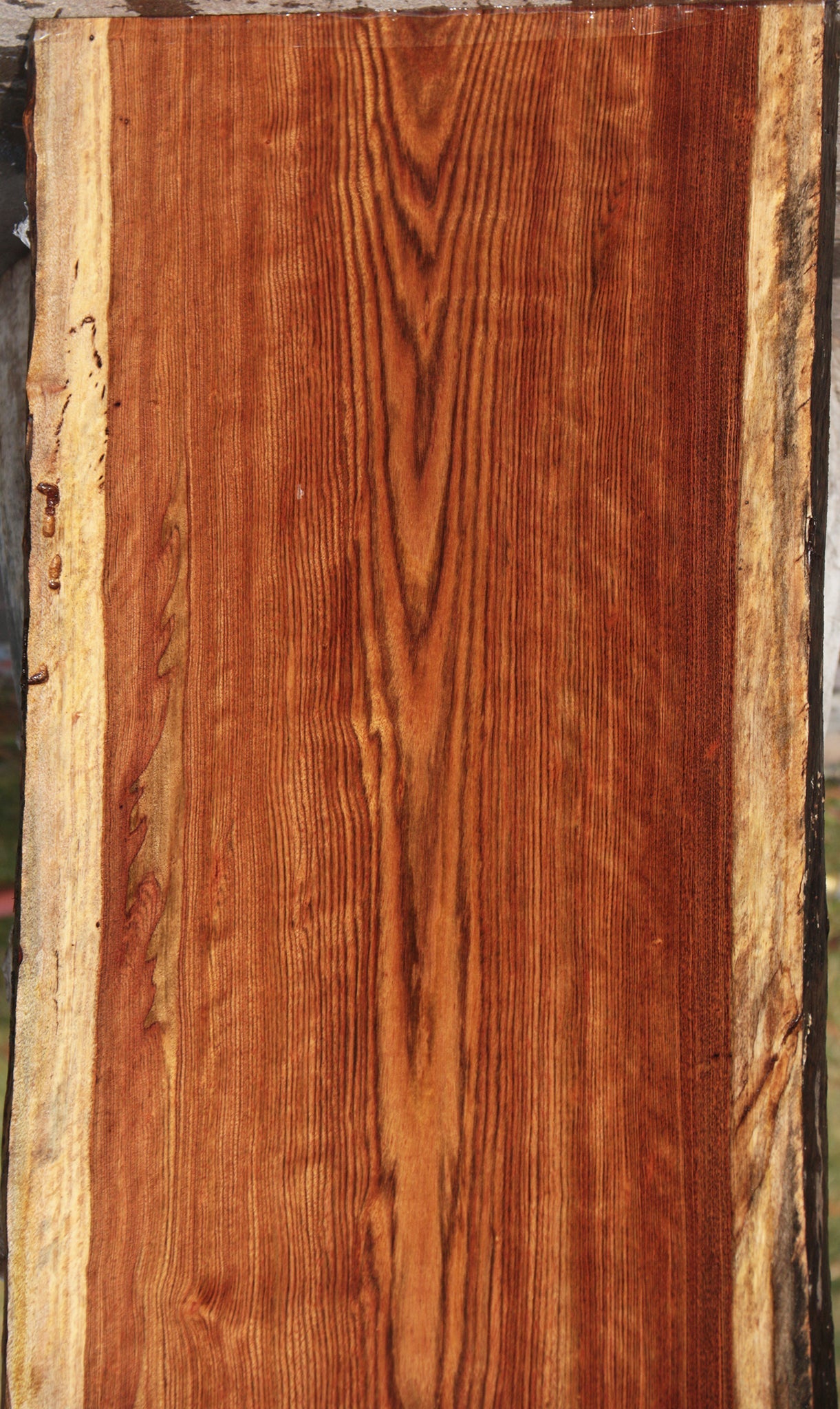 Spalted Chechen Live Edge Lumber