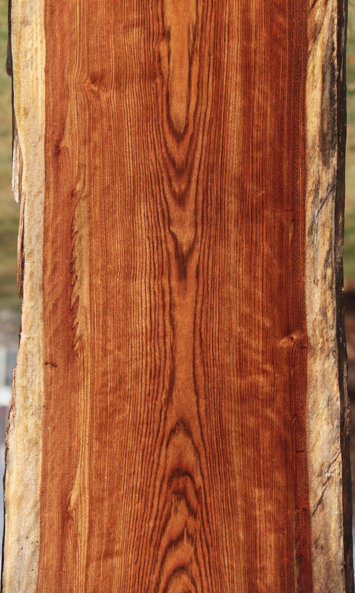Spalted Chechen Live Edge Lumber