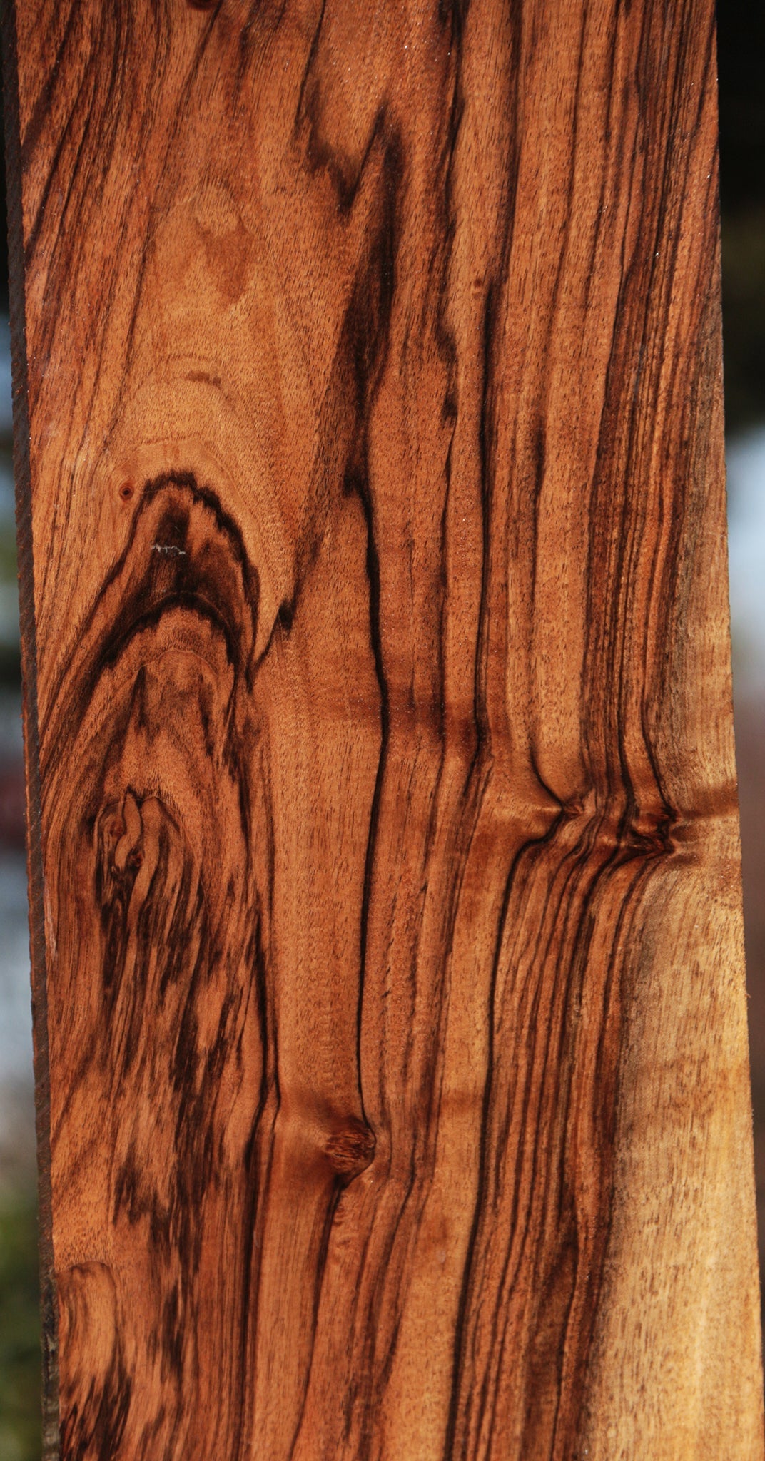 English Walnut Lumber