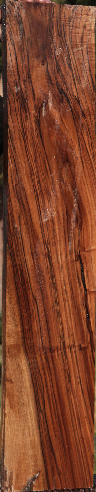 English Walnut Lumber