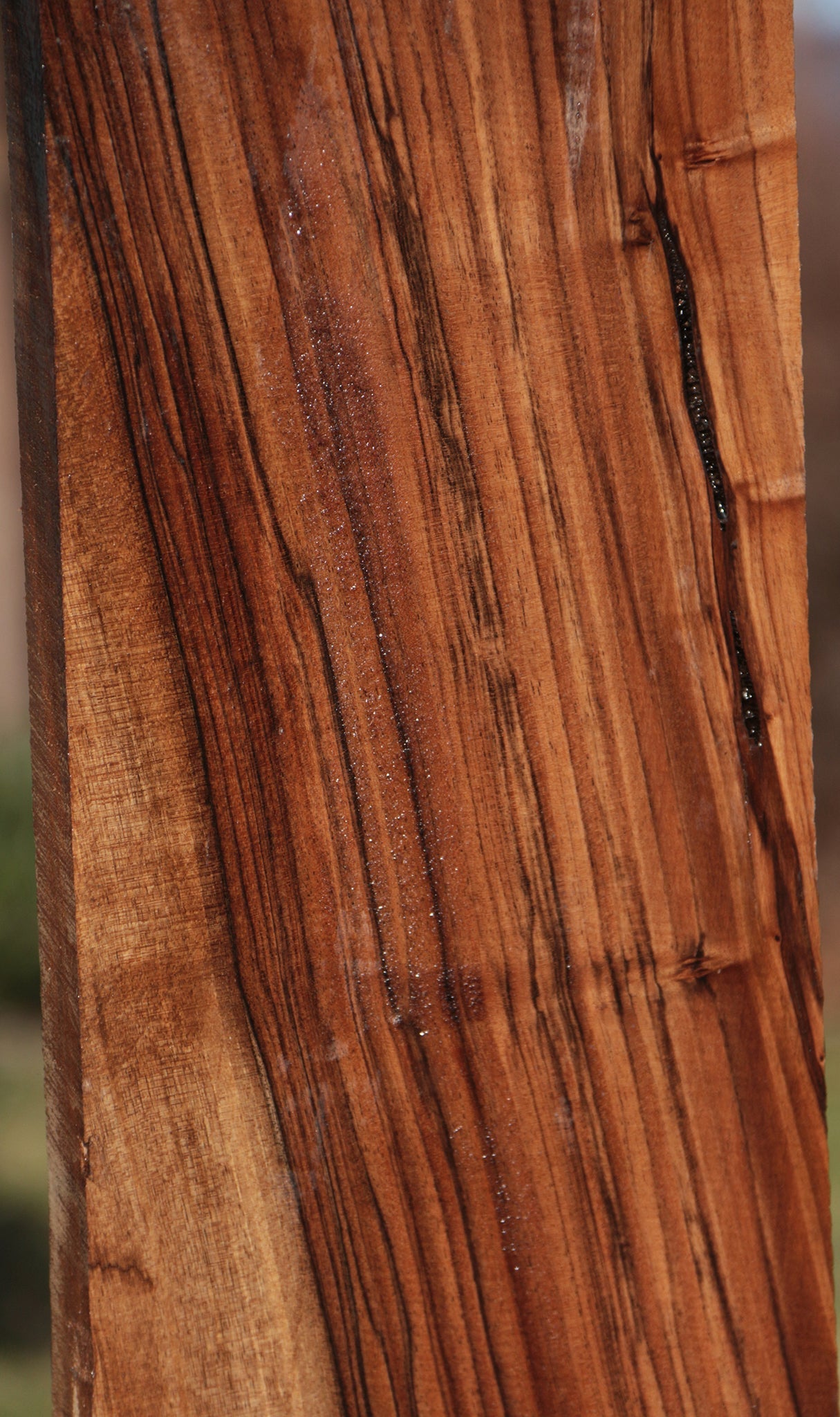 English Walnut Lumber