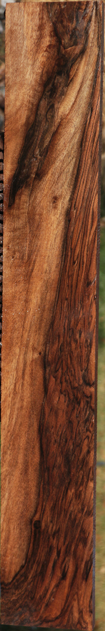 Exhibition English Walnut Lumber