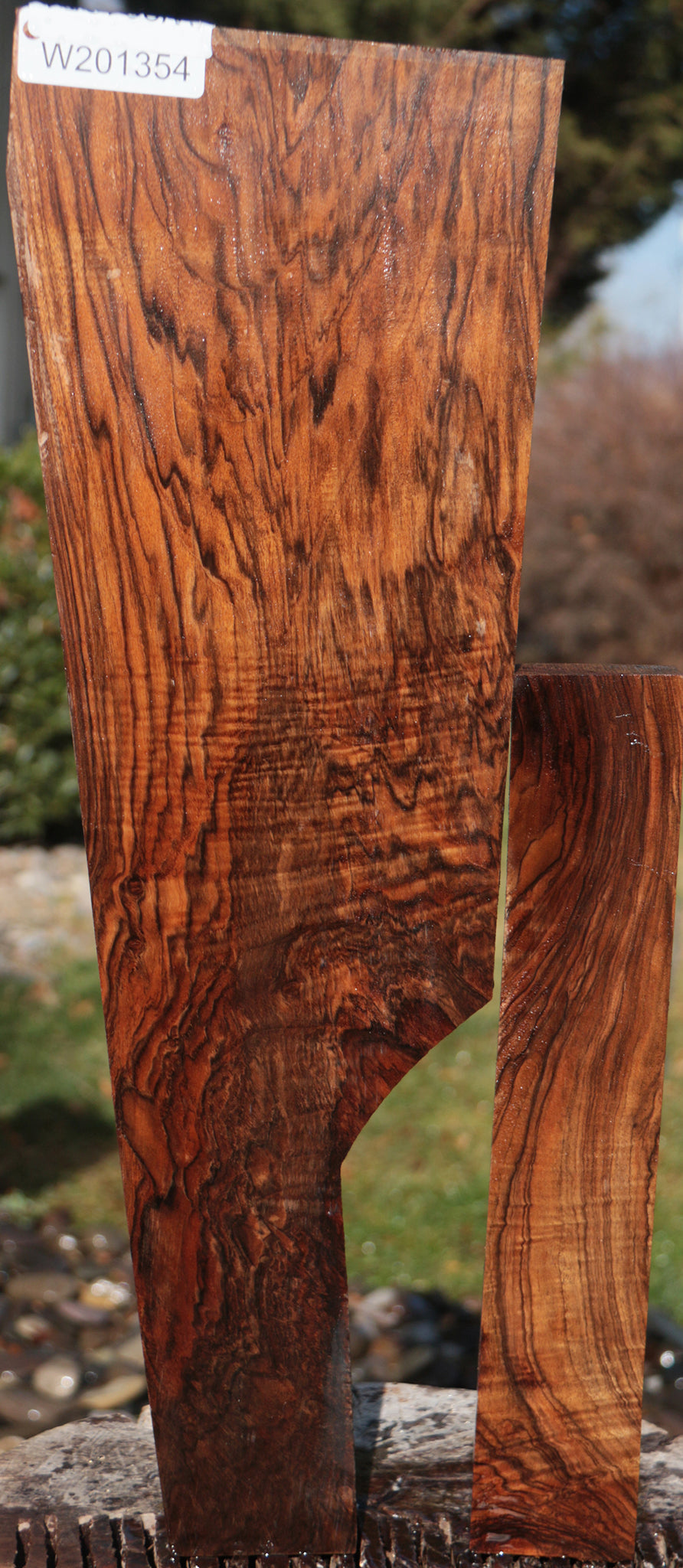 Exhibition English Walnut Lumber 2 Pack