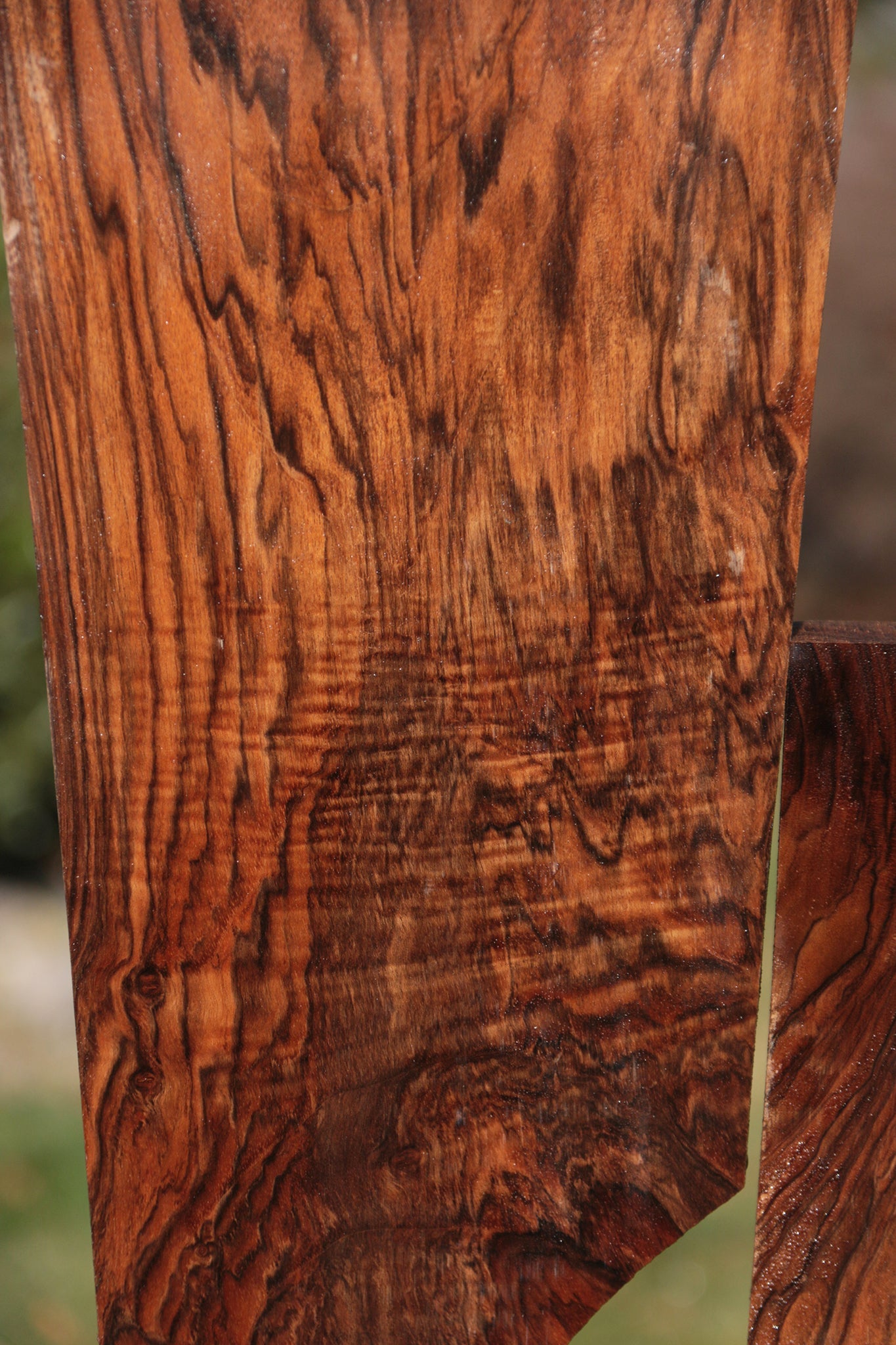 Exhibition English Walnut Lumber 2 Pack