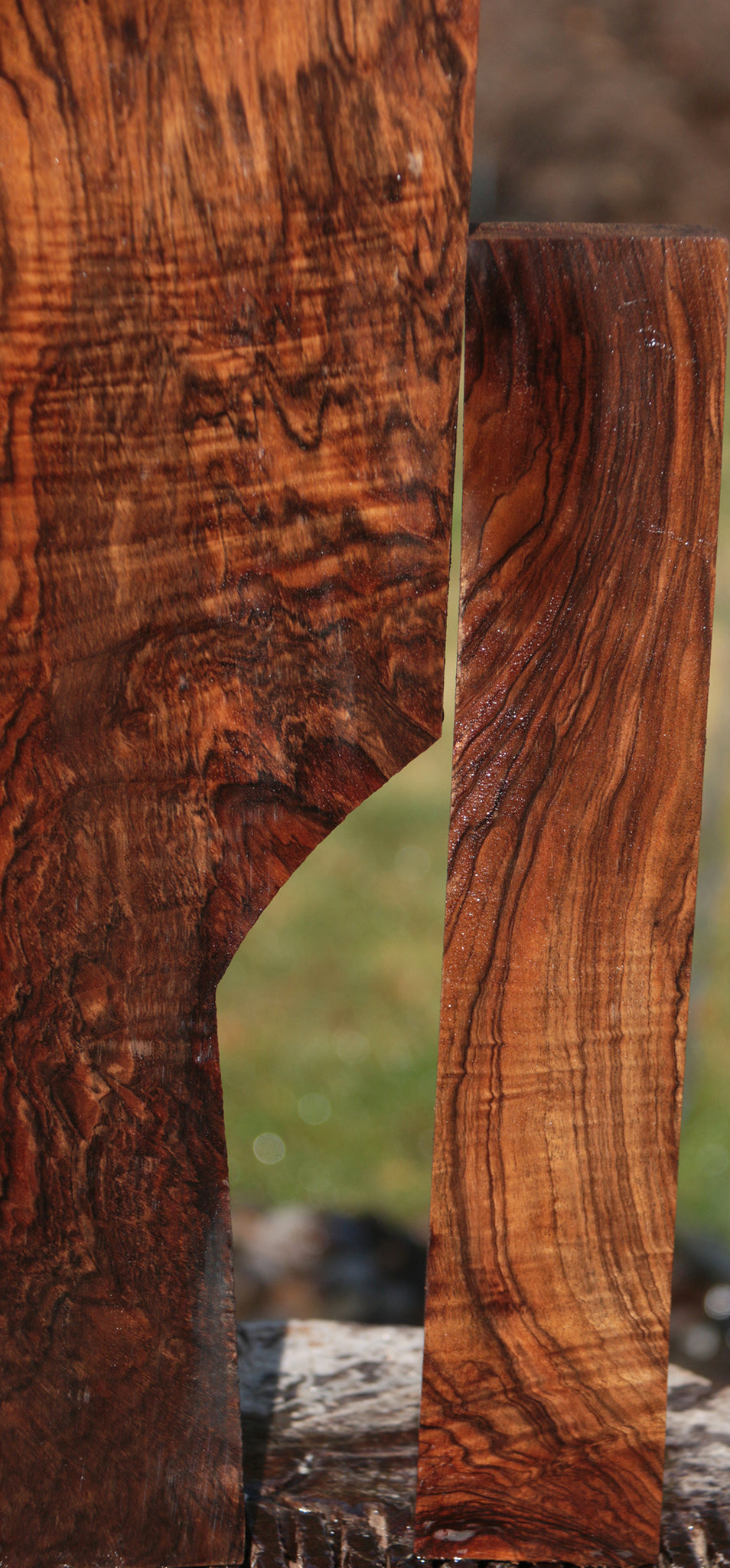 Exhibition English Walnut Lumber 2 Pack