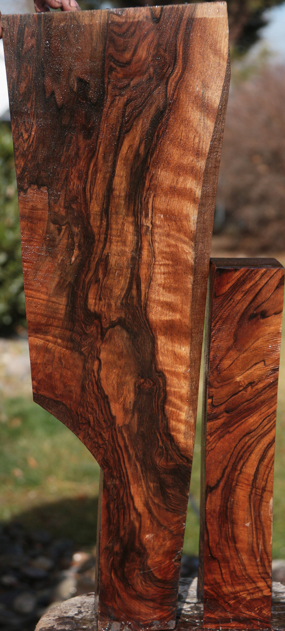 Exhibition English Walnut Lumber 2 Pack