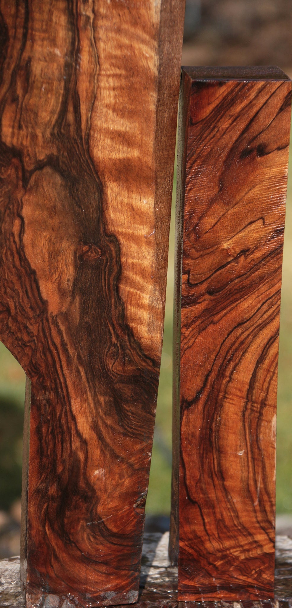Exhibition English Walnut Lumber 2 Pack