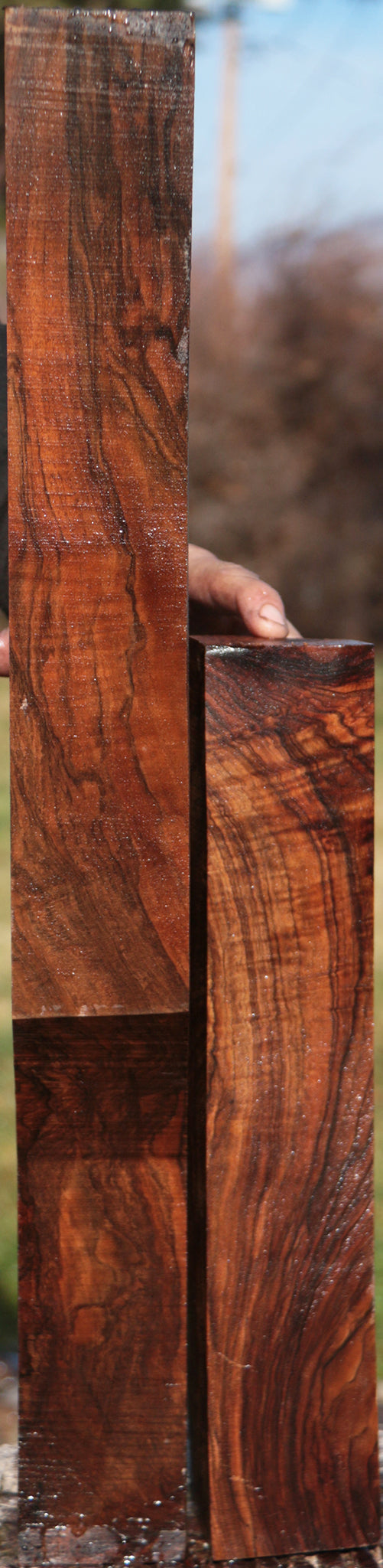 Exhibition English Walnut Lumber 2 Pack