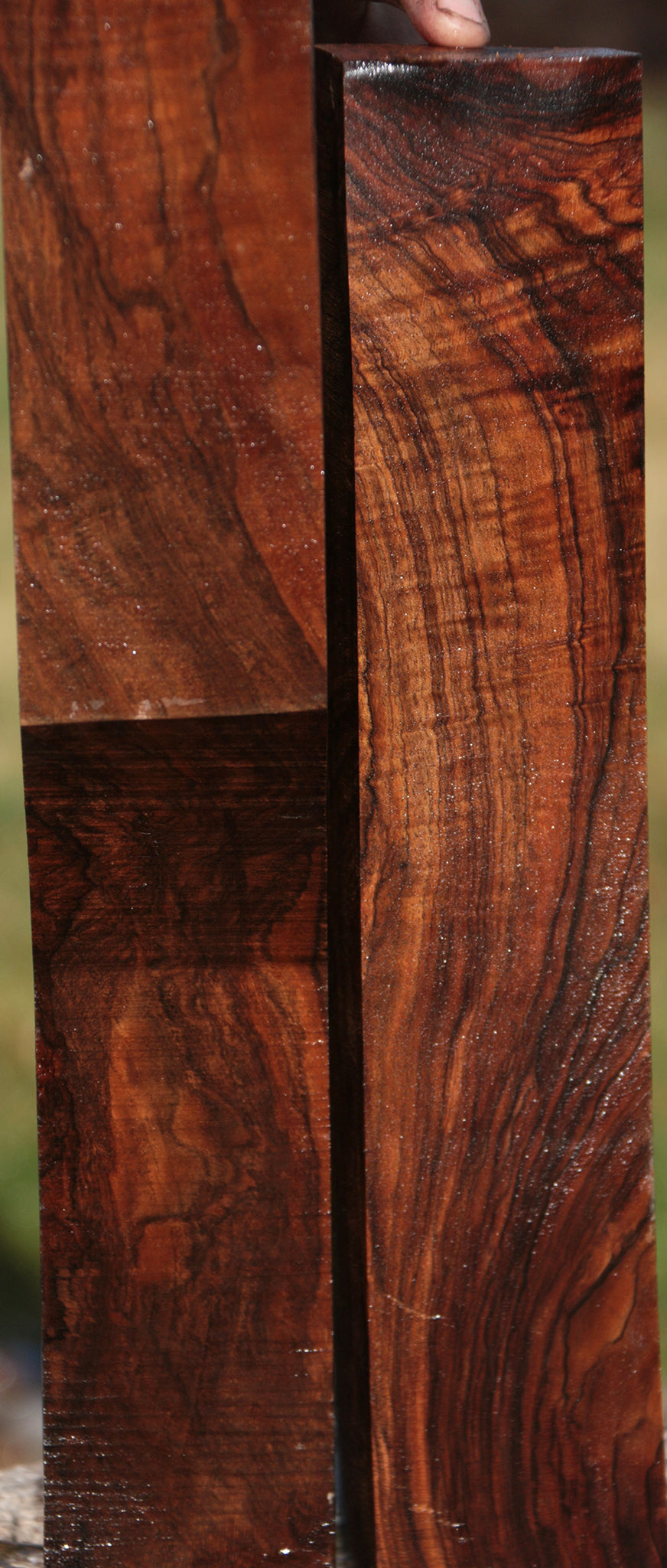 Exhibition English Walnut Lumber 2 Pack