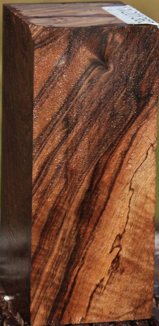 Exhibition English Walnut Lumber