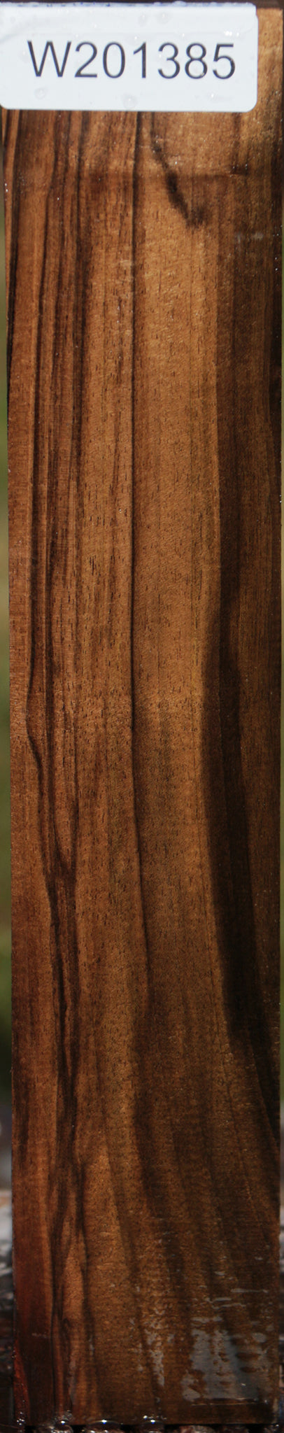English Walnut Forend