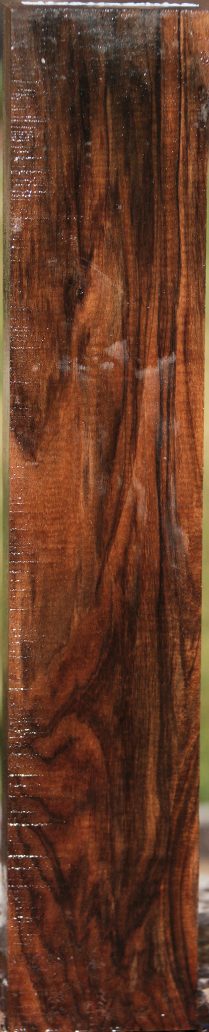 English Walnut Forend