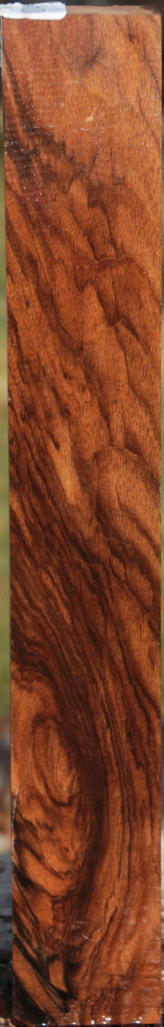 English Walnut Forend