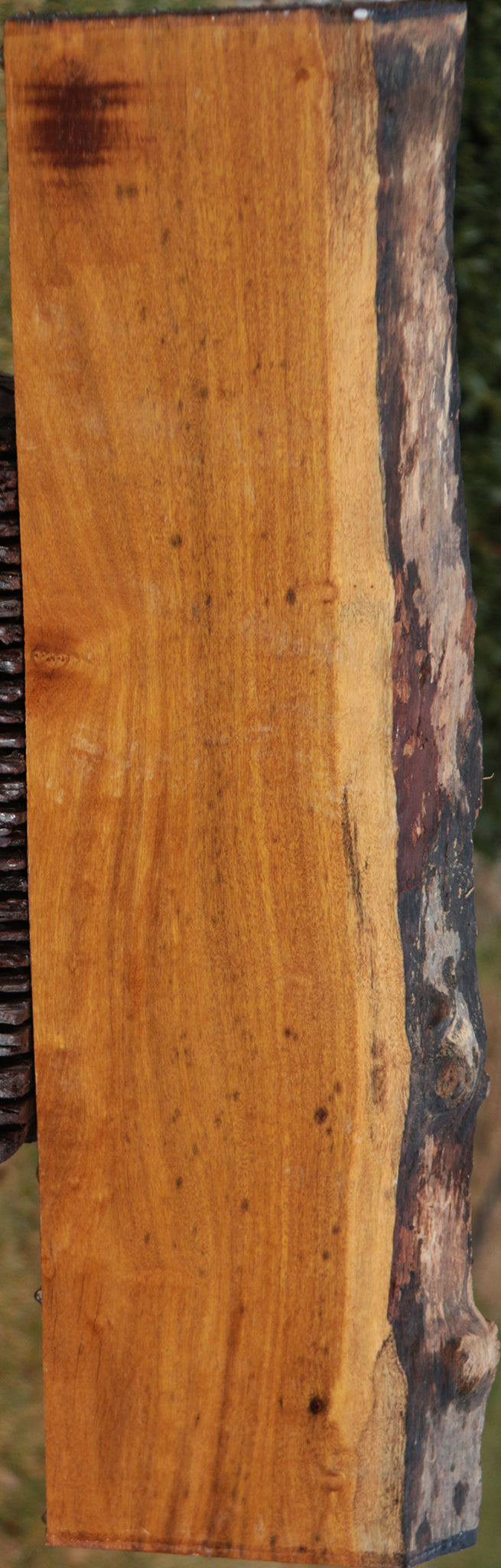Itauba Live Edge Lumber