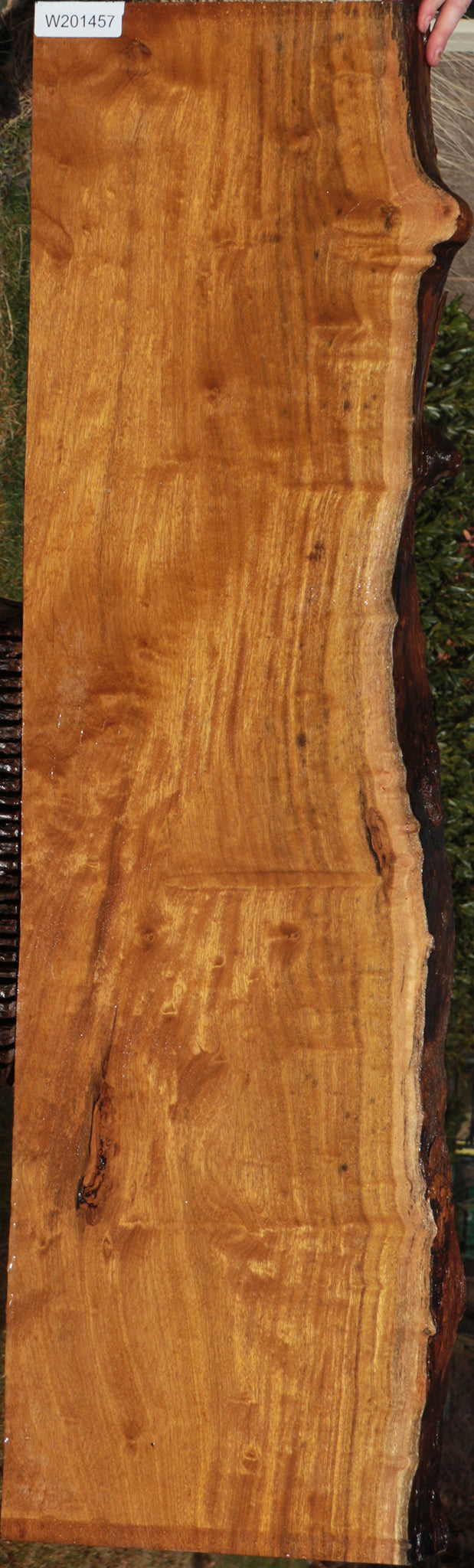 Itauba Live Edge Lumber