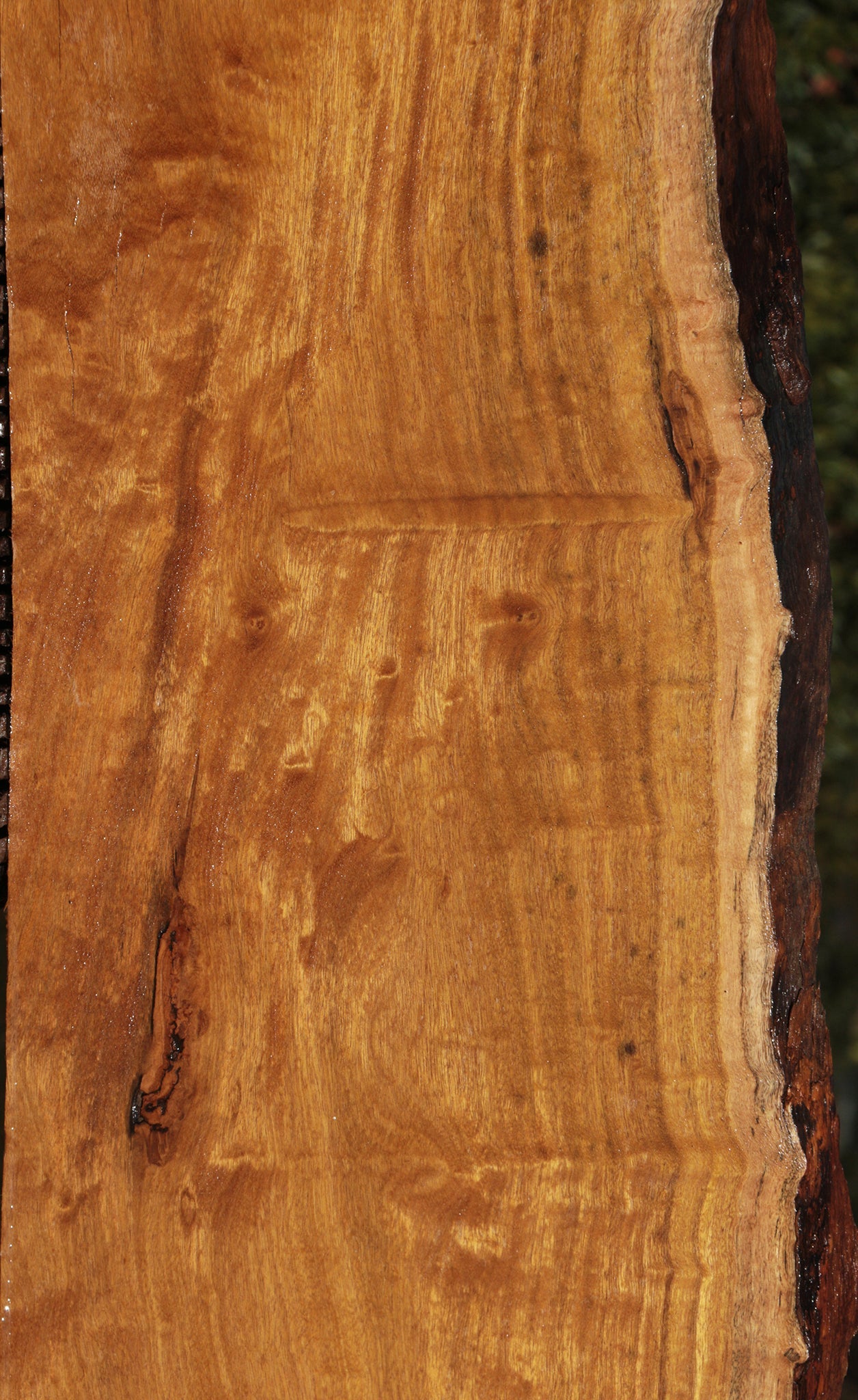 Itauba Live Edge Lumber