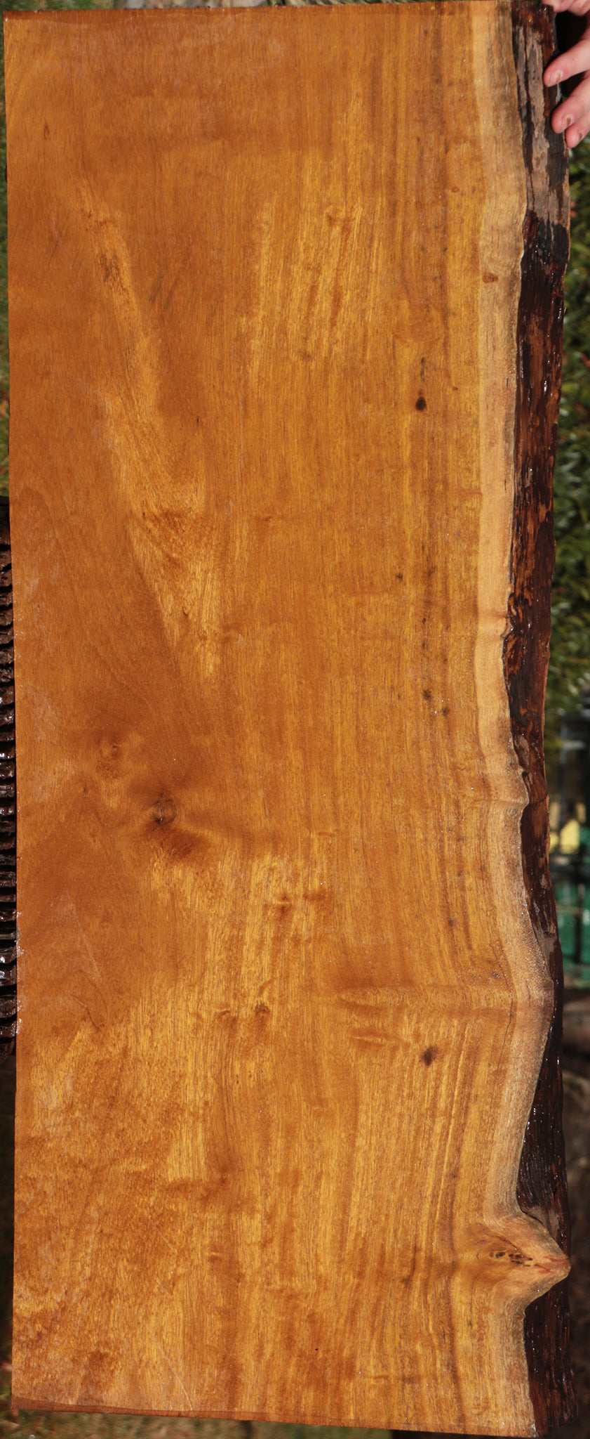 Itauba Live Edge Lumber
