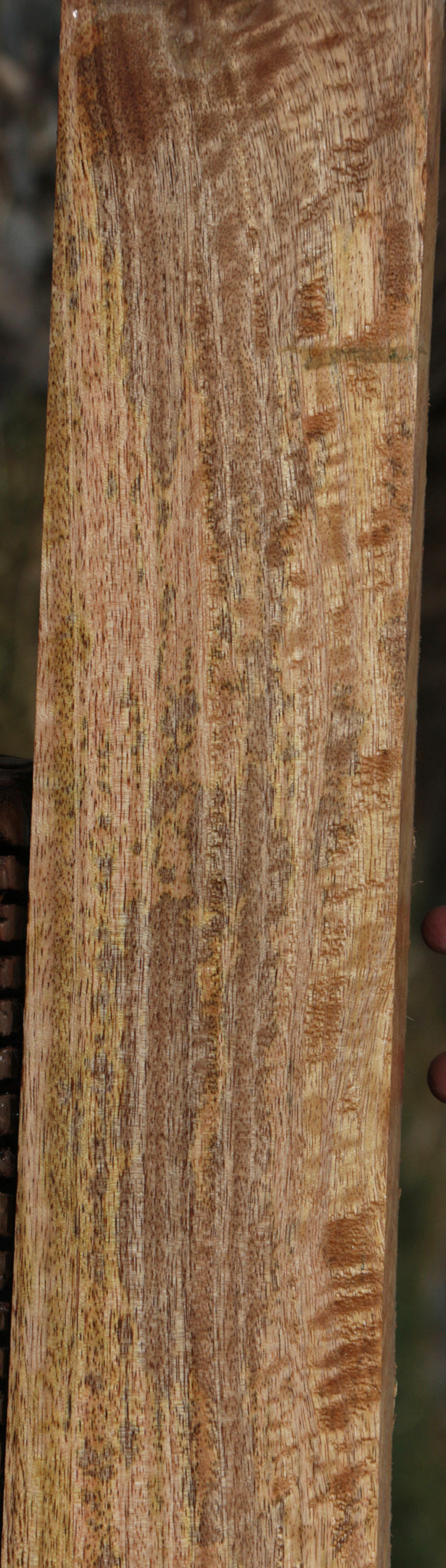 Mango Micro Lumber