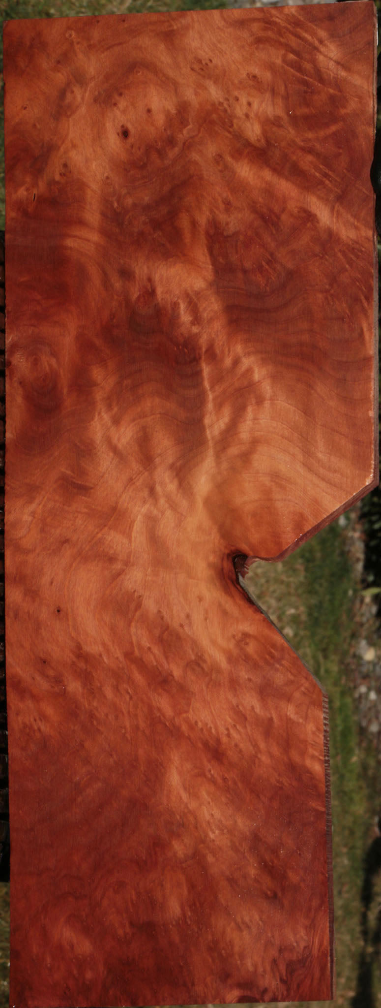 Redwood Burl Instrument Lumber