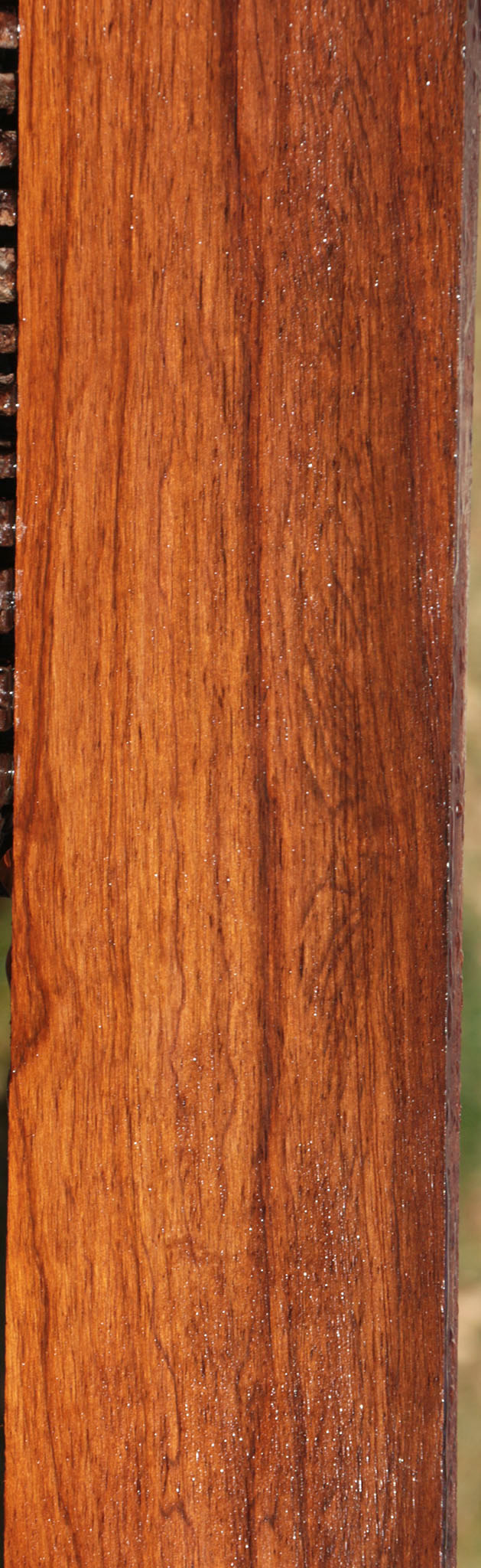 Spiderweb Figured Panama Rosewood Lumber