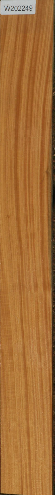 Ceylon Satinwood Micro Lumber
