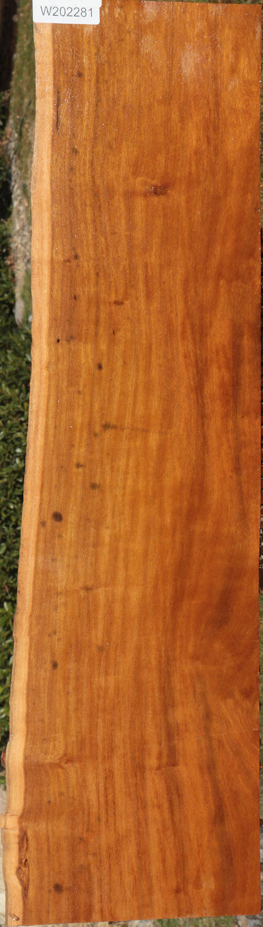 Itauba Live Edge Lumber