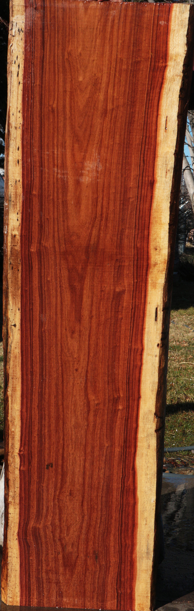 Granadillo Live Edge Lumber