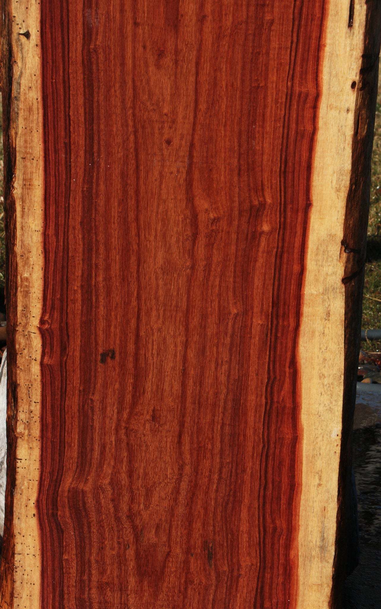 Granadillo Live Edge Lumber