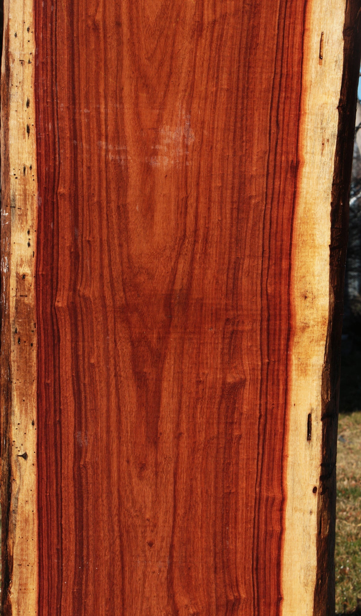 Granadillo Live Edge Lumber