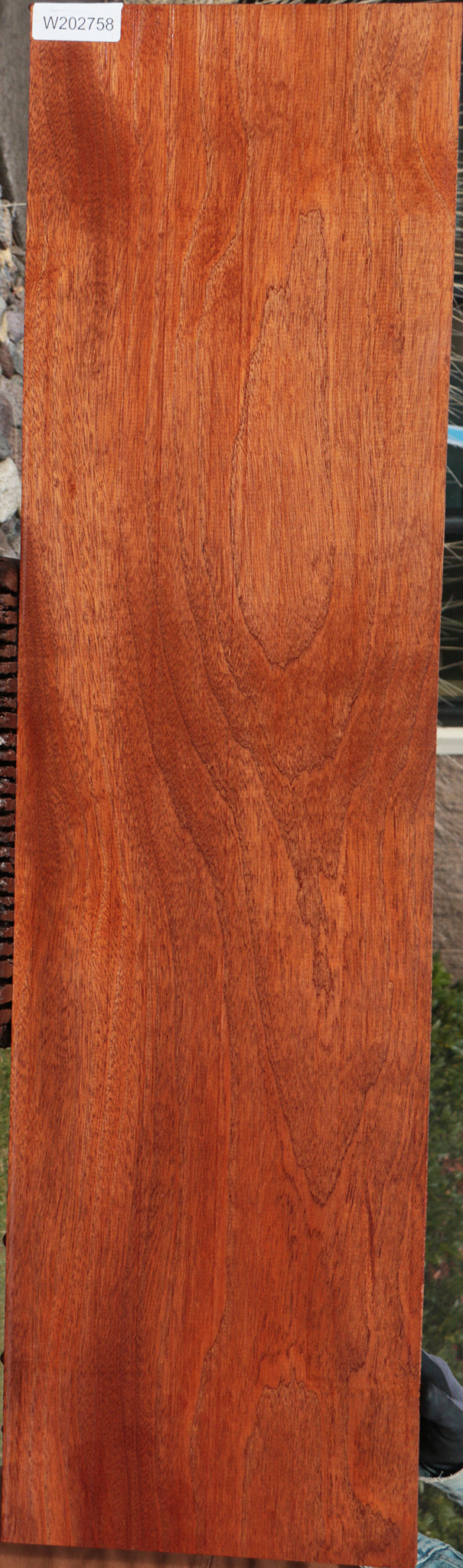 Sipo – Cook Woods