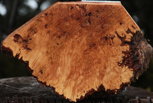 Maple Burl Live Edge Lumber