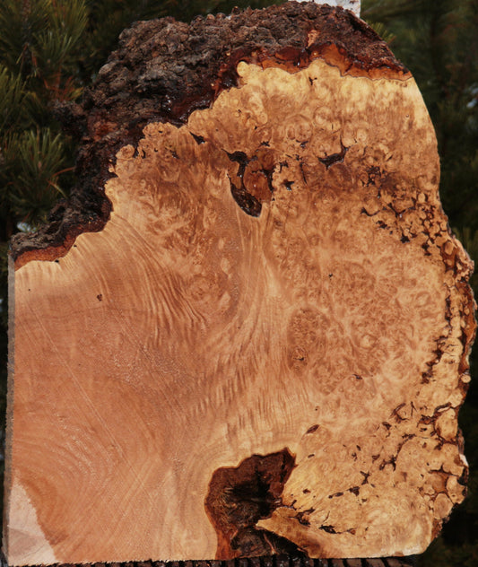 Maple Burl Live Edge Lumber