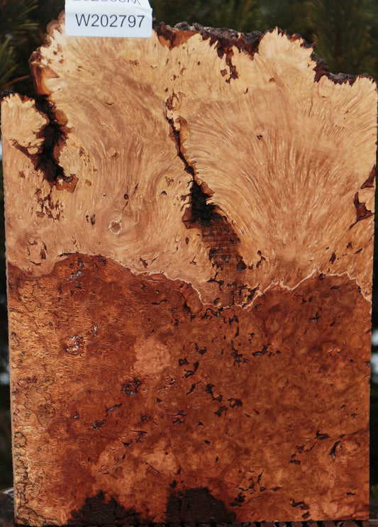 Maple Burl Live Edge Lumber
