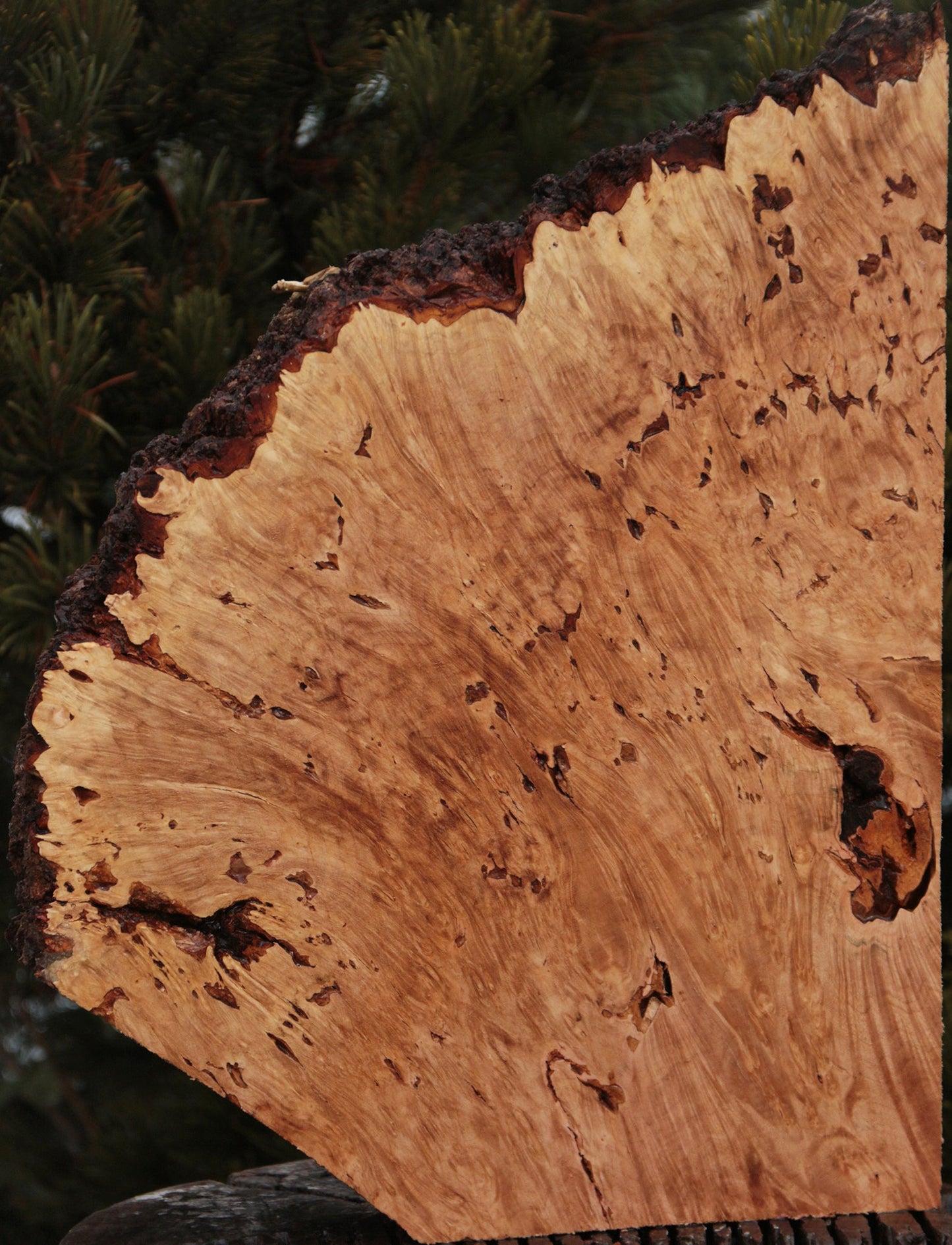 Maple Burl Live Edge Lumber