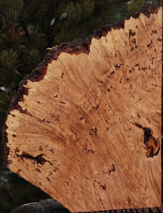 Maple Burl Live Edge Lumber