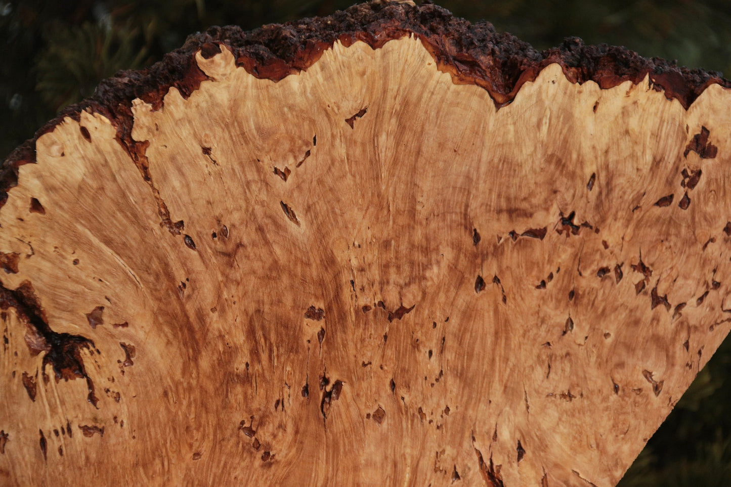 Maple Burl Live Edge Lumber