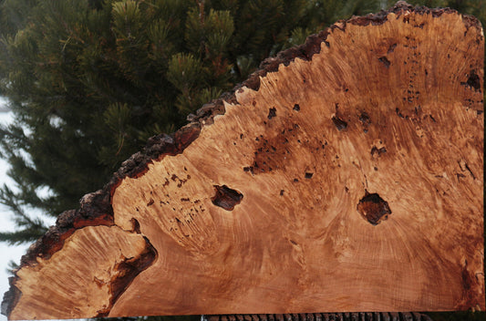 Maple Burl Live Edge Lumber