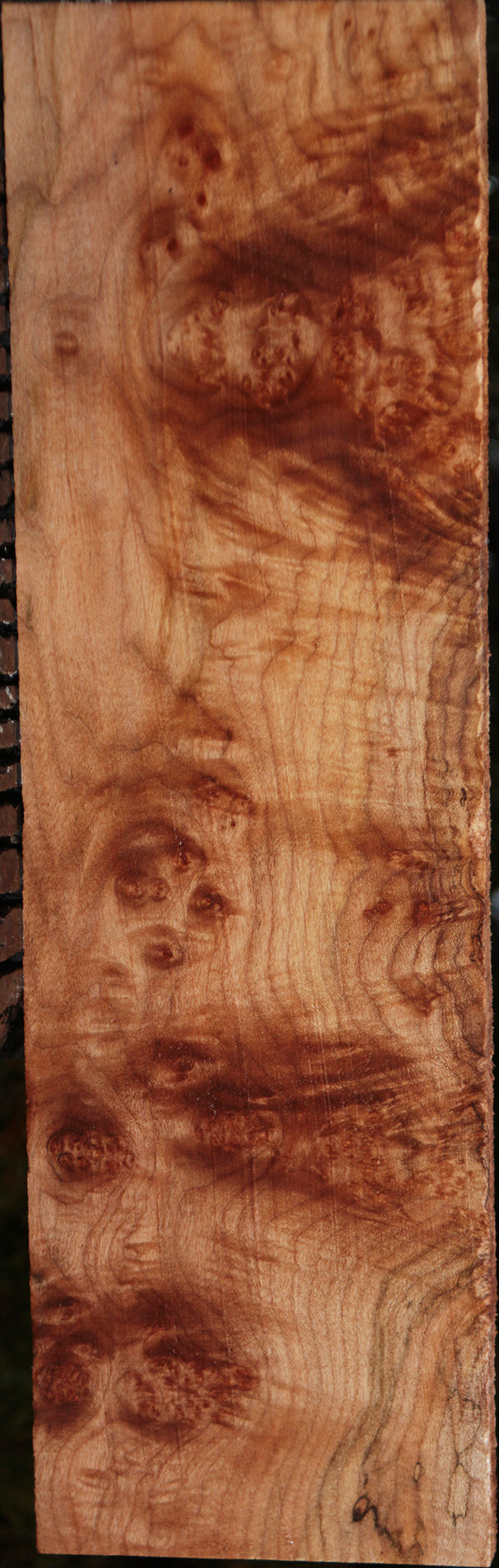 Maple Burl Lumber