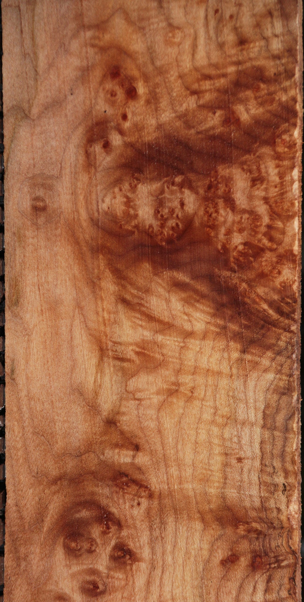 Maple Burl Lumber