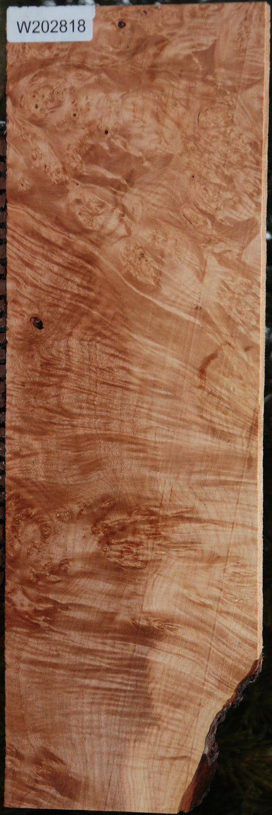 Maple Burl Instrument Lumber