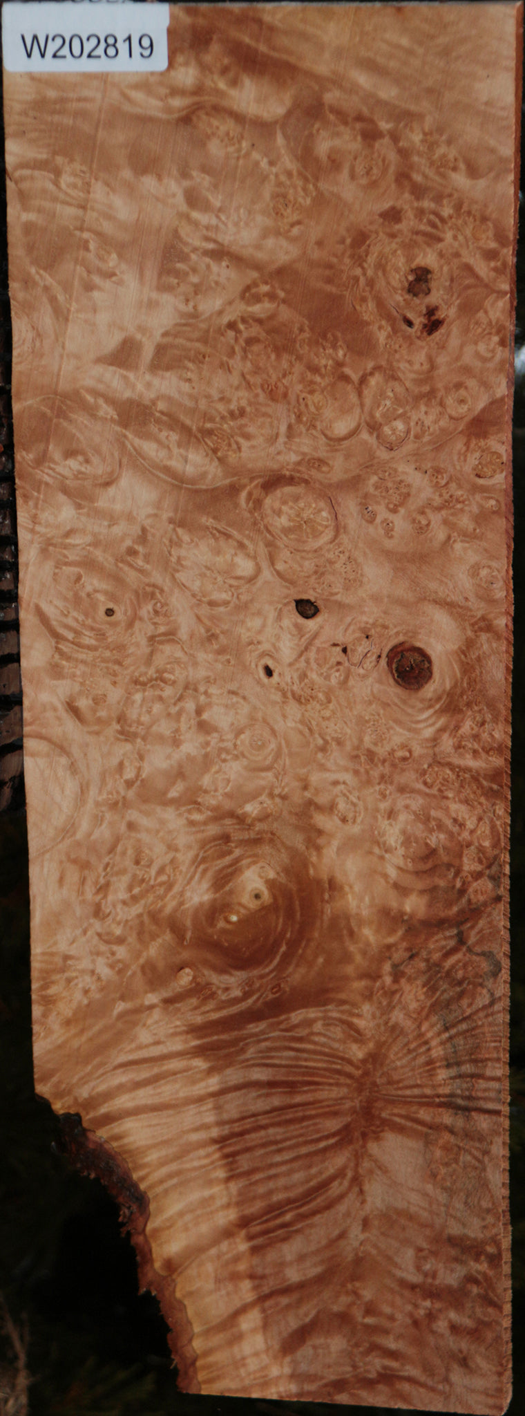 Maple Burl Instrument Lumber
