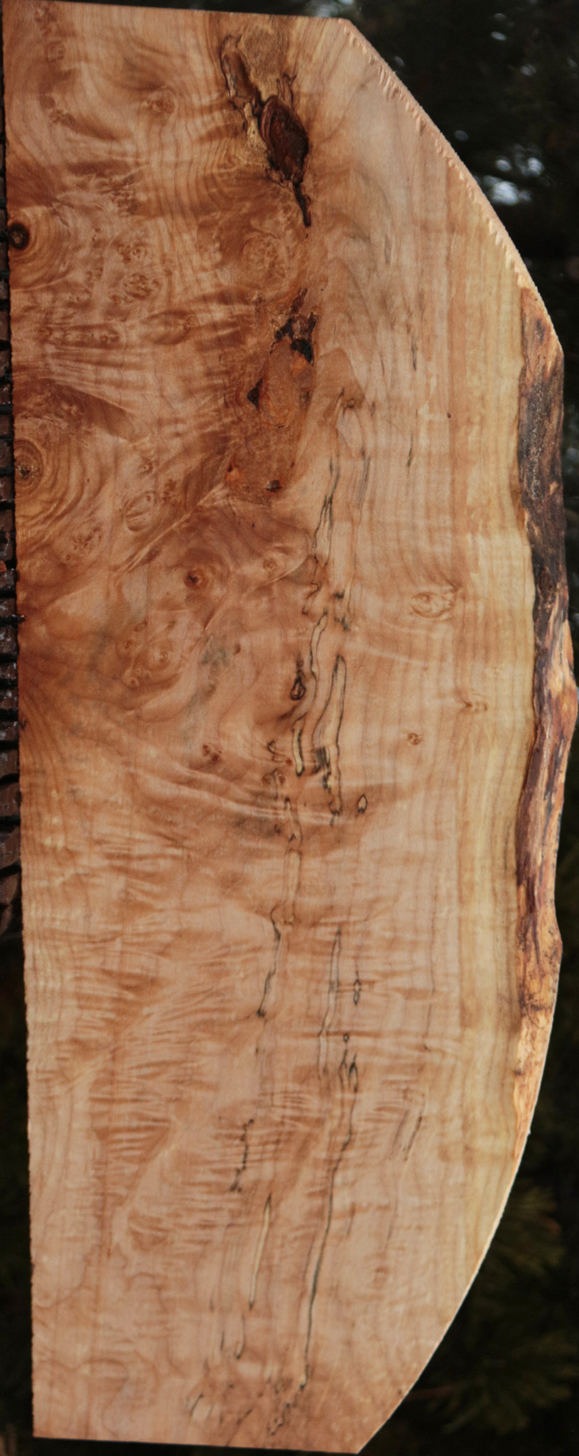 Maple Burl Lumber