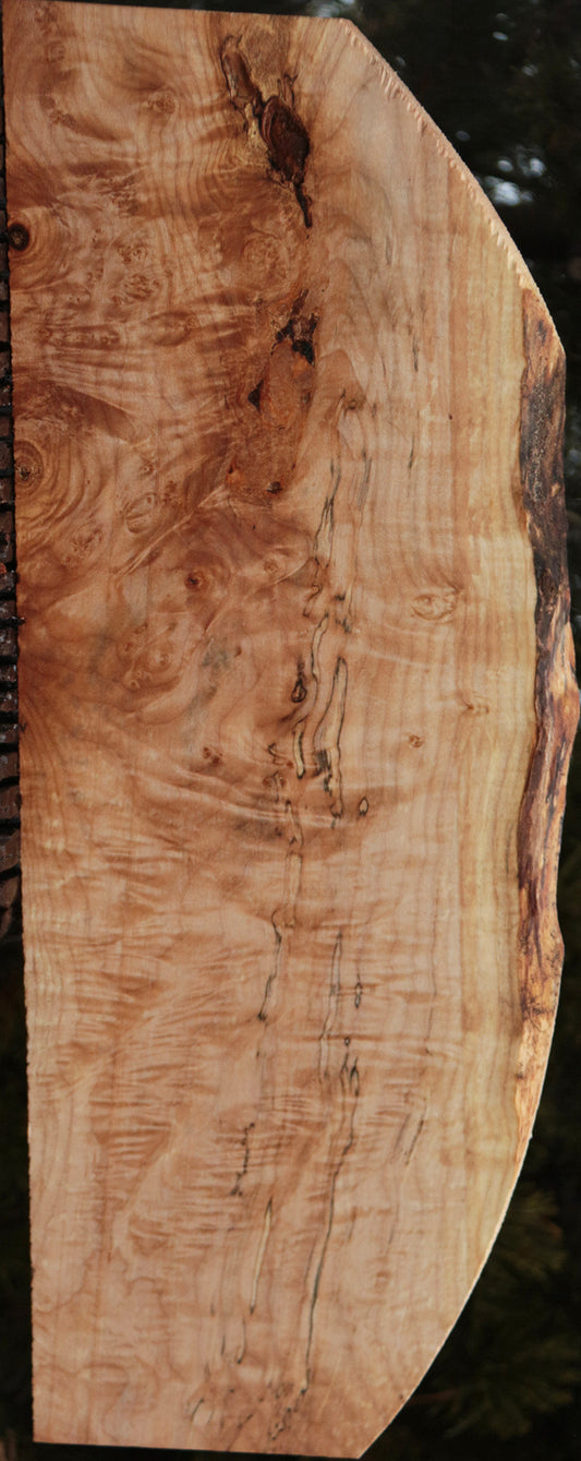 Maple Burl Lumber