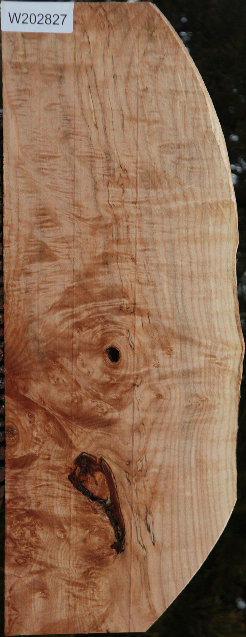 Maple Burl Lumber
